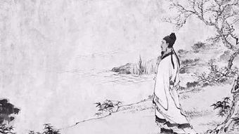 悫 什么意思