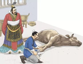 庖丁解牛的故事简短，庖丁解牛的故事谈到依乎天理因其固然