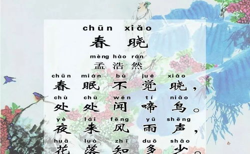 古诗春晓配一副画