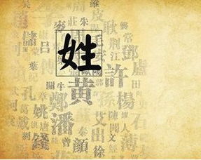 尊姓大名怎么巧妙回答，尊姓大名是成语吗