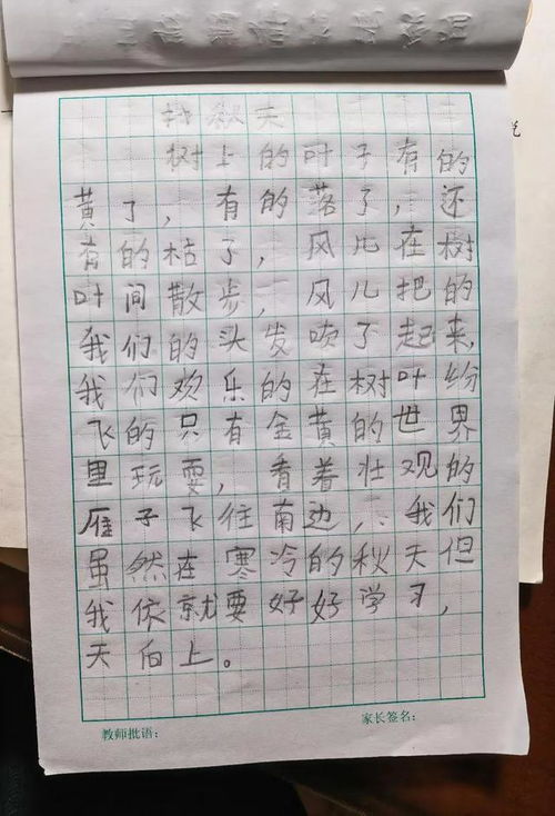 作文找春天300字左右，作文找春天200字以上