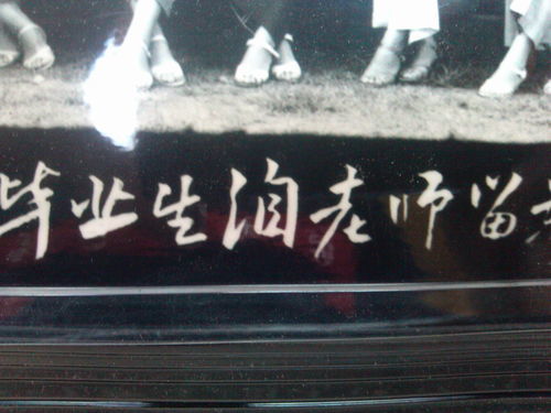飞横跋扈意思，跋扈的原意