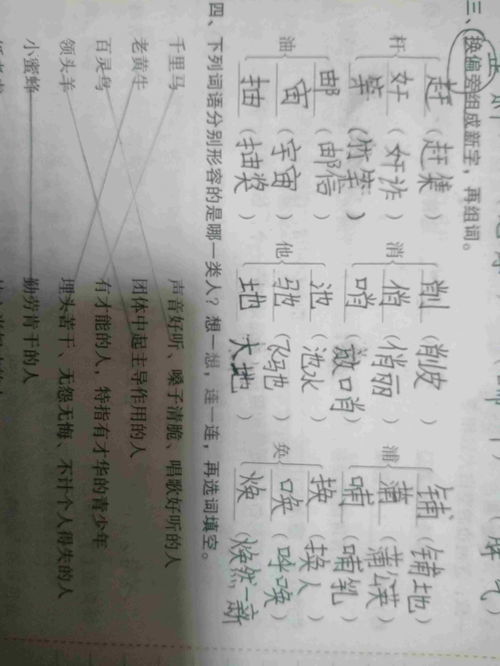静字组词，扮字组词有哪些