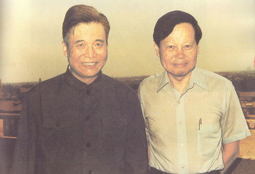 杨振宁和邓稼先的故事简短，杨振宁和邓稼先的故事思考作文