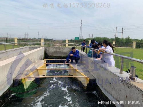什么是明渠