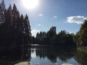 留在我心底的风景800字作文，留在我心底的风景作文开头