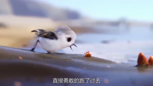 鹬蚌相争的意思解释，鹬蚌相争的意思是什么解释