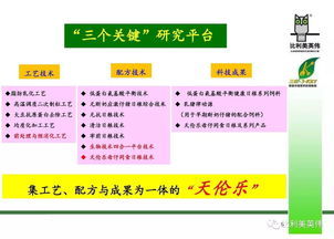 天伦之乐是什么意思?