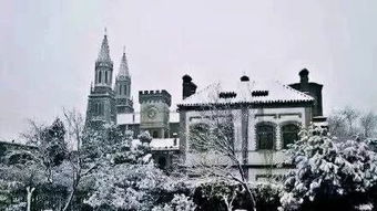 洪楼教堂什么时候开放