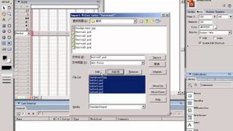 directory，director和manager哪个大