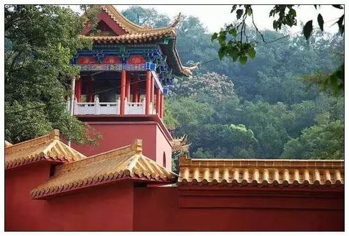 苏州灵岩山海拔多少米