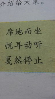 如痴如醉是什么意思打一生肖，如痴如醉是什么意思啊?