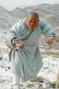李冲的人物简介