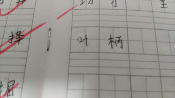 叶柄的拼音字母，叶柄的拼音是什么意思