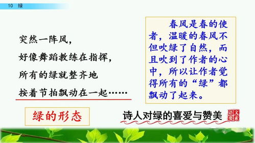 蹈字组词和拼音，蹈字组词两字词语