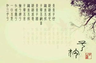 青青子衿悠悠我心全诗翻译