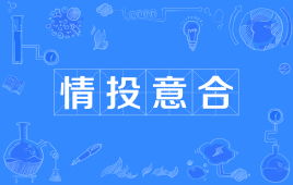 情投意合打一个数字，情投意合猜生肖