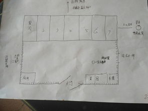 我家的小院作文450字