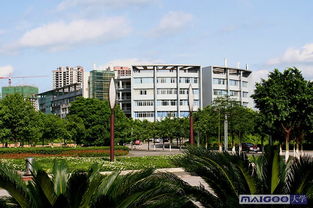 重庆专升本文科可以报考哪些大学