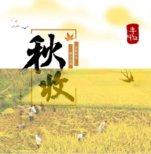 春种一粒粟什么意思，春种一粒粟是什么