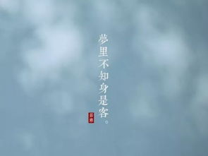 “梦里不知身是客,一晌贪欢。”出自哪里?