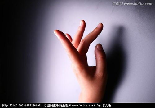 兰花指捻红尘似水是什么歌曲的歌词，兰花指的是什么动物