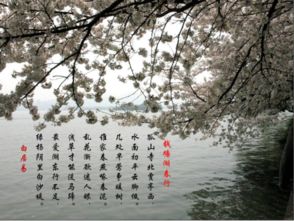 描写四季的古诗词名句，描写春天的古诗