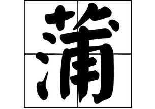 蒲做姓怎么读