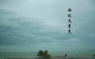 寥若晨星是什么意思10 字，寥若晨星是褒义还是贬义