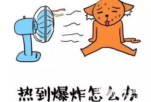 避暑纳凉的意思，笑语纳凉的意思