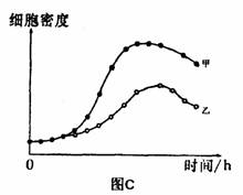 16×25的血球计数板计算公式是什么?