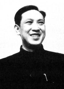 田家英为什么没有后代