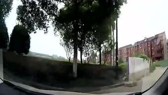 完好无损的意思和造句