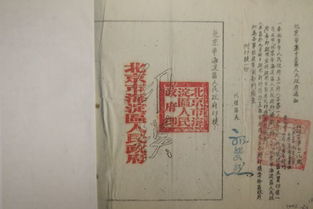 珍藏的记忆作文400字