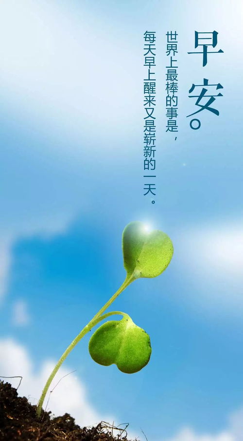早安正能量句子和图片配图，正能量励志阳光早安心语