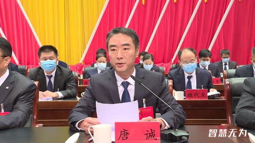 唐诚小说全文免费下载