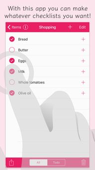 checklist是干什么用的?