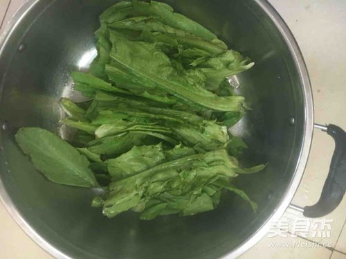 莲菜是什么菜?