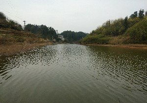 黎香湖海拔多少米，黎香湖天气预报一周
