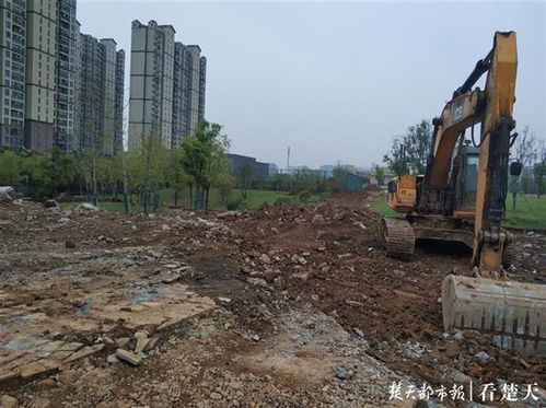 “大兴土木”是什么意思?