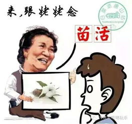 操料白保定话什么意思