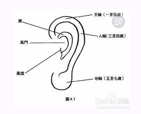 脑后面长疙瘩怎么回事老年人，脑后面长疙瘩怎么回事啊