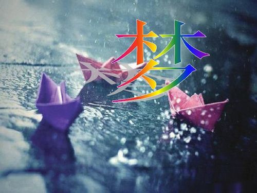 小纸船的梦是几年级