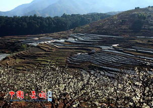 四堡乡有多少人口，四堡乡邹公庙照片