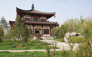 柳园是哪个省的
