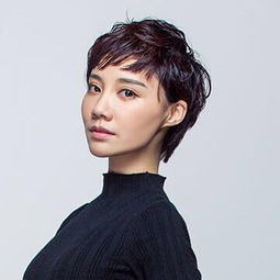 杨莹个人简介，杨莹配音演员
