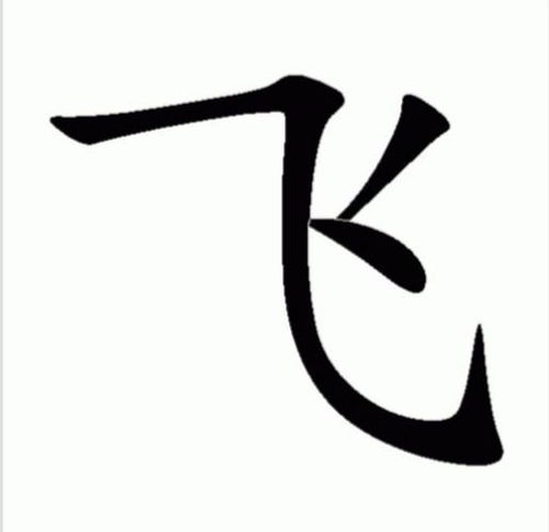 飞字组词一年级，入字组词