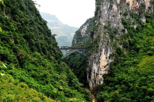 屏边县有多少人口，屏边县县庆是几月几号