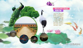 母亲和儿子享受天伦之乐的句子