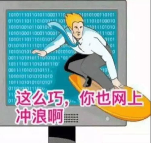 风靡的意思